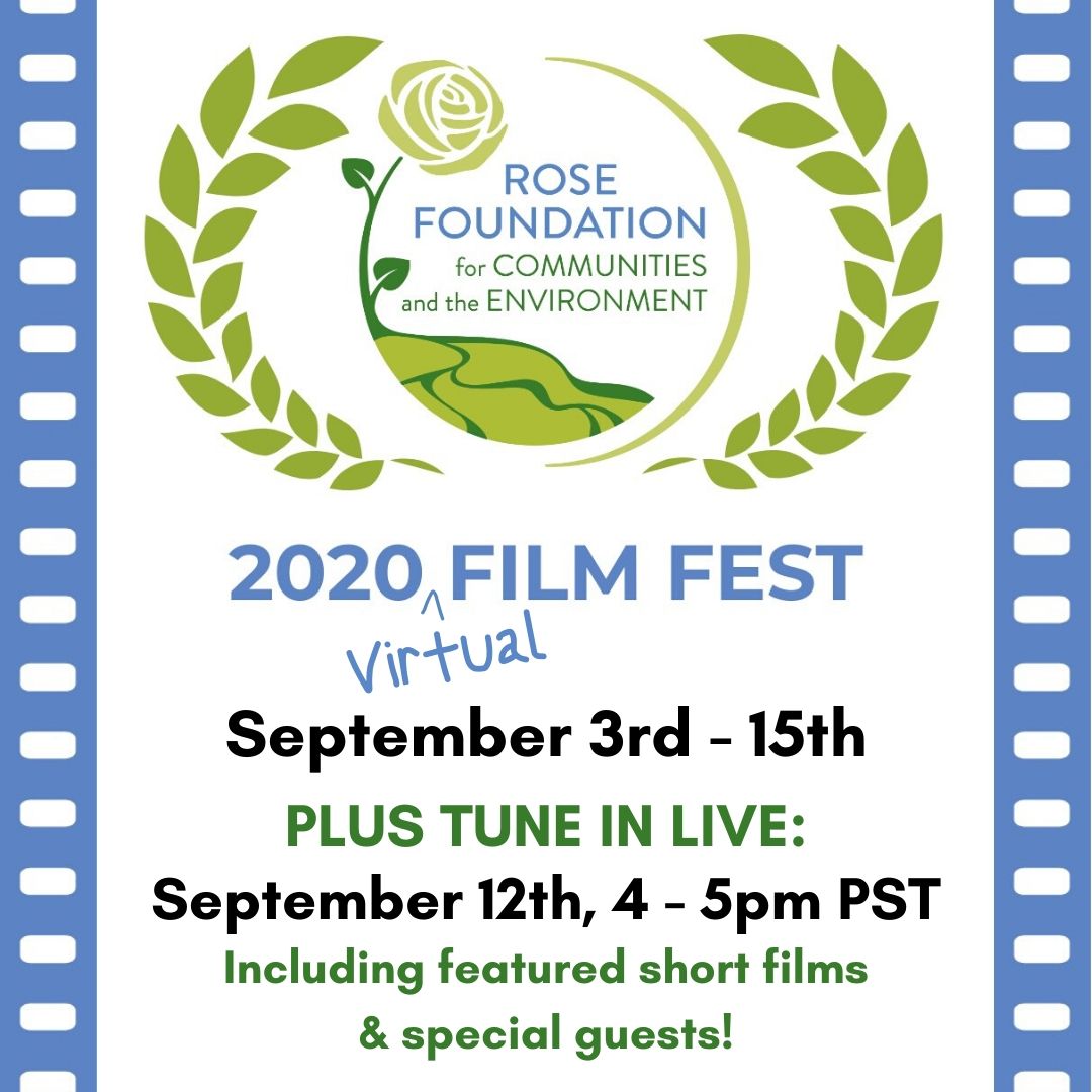 Get your tickets to the virtual 2020 Film Fest today!