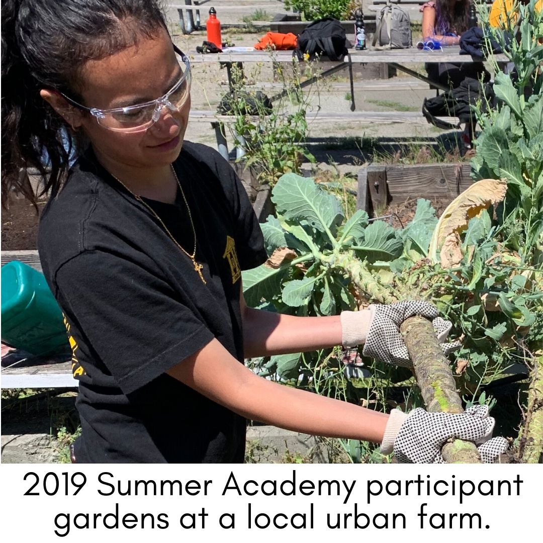 New Voices Student at Urban Farm